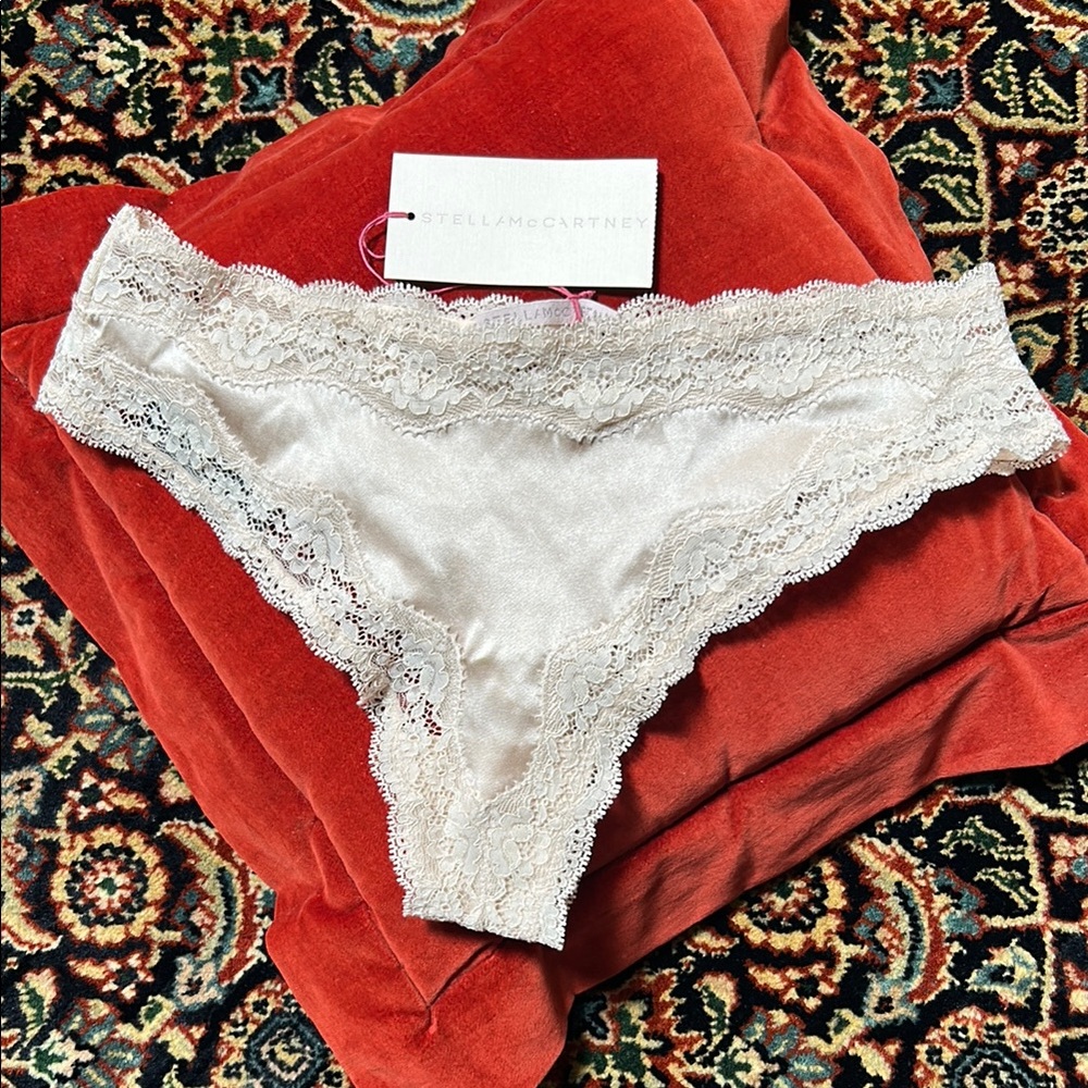 Stella McCartney NWT Pale Pink silk and lace thong panty M